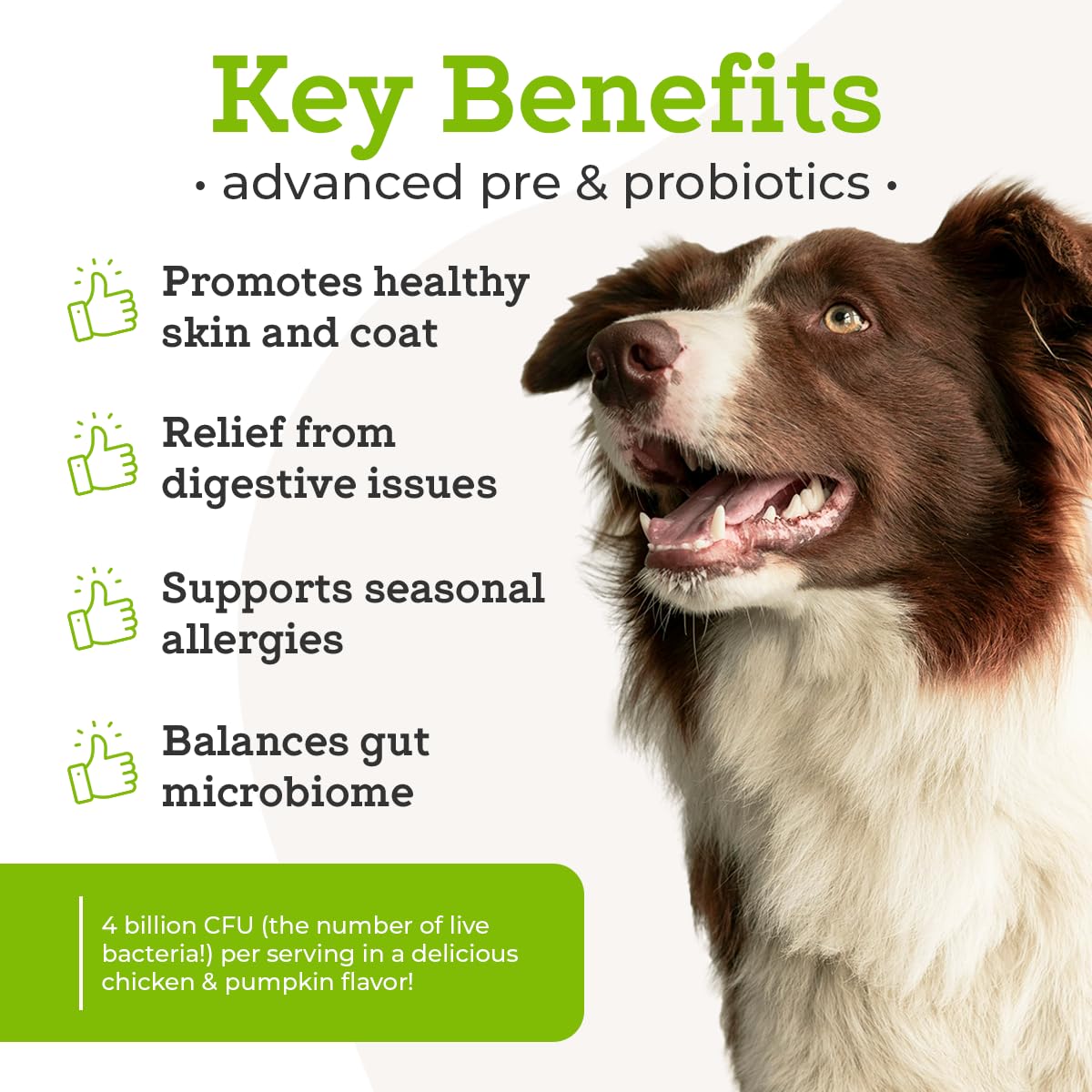 Dr. Joseph's VetPro Complete Advanced Pre & Probiotics Powder for Dogs, 90 Scoops, Supports Gut Health, Diarrhea, Digestive Health & Seasonal Allergies, Chicken/Pumpkin Flavor, Add to Food