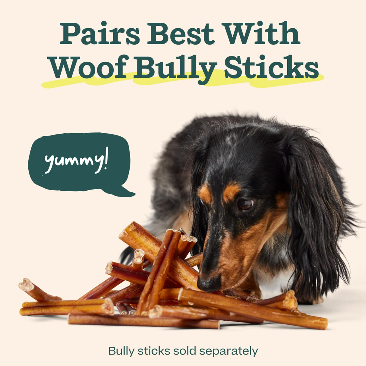WOOF BullySafe - Bully Stick Holder - Durable Dog Chew Holder for Safe, Long-Lasting Play - Easy to Clean - No More Swallowed Ends