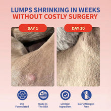 Load image into Gallery viewer, Fifth & Fido Turkey Tail Mushroom for Dogs – Turkey Tail for Dogs Mushroom Supplement with Immune Support for Lipoma, Lumps & Bumps – Premium Pet Vitamins and Supplements Made in USA, 200 Servings