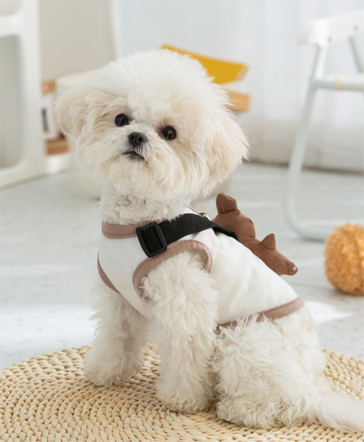 Costumes for Cats Dog Clothes Dog Shirts Soft Vest Yorkie Clothes Lightweight Sleeveless Birthday Dog Girl Boy Cats Dog T-Shirts Puppies Tank Top Dog Outfits for Small Medium Dogs Brown L