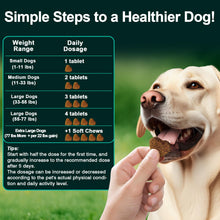 Load image into Gallery viewer, Dog Allergy Relief Chews Itching Skin is Human Multivitamin Pet Allergy Anti Itch Paw Relief and Immune Dog Chews Bites Antihistamine for Dogs Itching and Licking Weight Loss Management Support 200