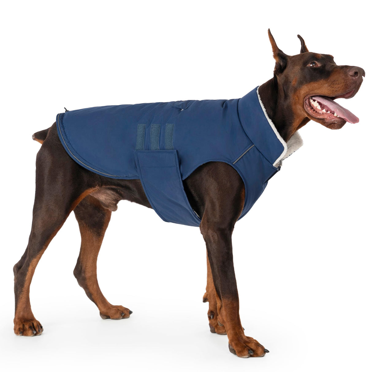Mklhgty Extra Warm Dog Coat, Waterproof Dog Winter Jacket with Leash Portal, Fleece Reflective Pet Snow Vest for Small Medium Large Dogs - Blue - XL