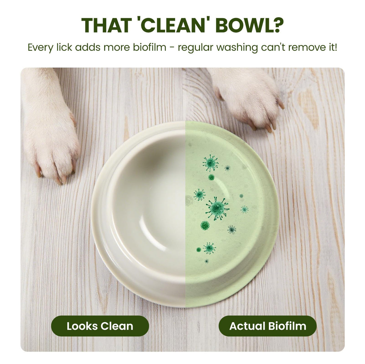 Pet Bowl Cleaner Mousse - Vet Enzyme Formula for Bird Baths & Feeders | Lick-Safe, No Residue | Works on Cat Dishes, Fountains, Toys & Birdhouses (350ml/12oz)