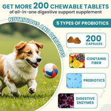 Load image into Gallery viewer, Probiotics for Dogs Gut Digestive Health Probiotic Chew for Dogs Digestive Enzymes Relieve Diarrhea Immunity Oral Problems Itching Constipation Prebiotics Dog Probiotics 200 Tablets Chicken Flavor