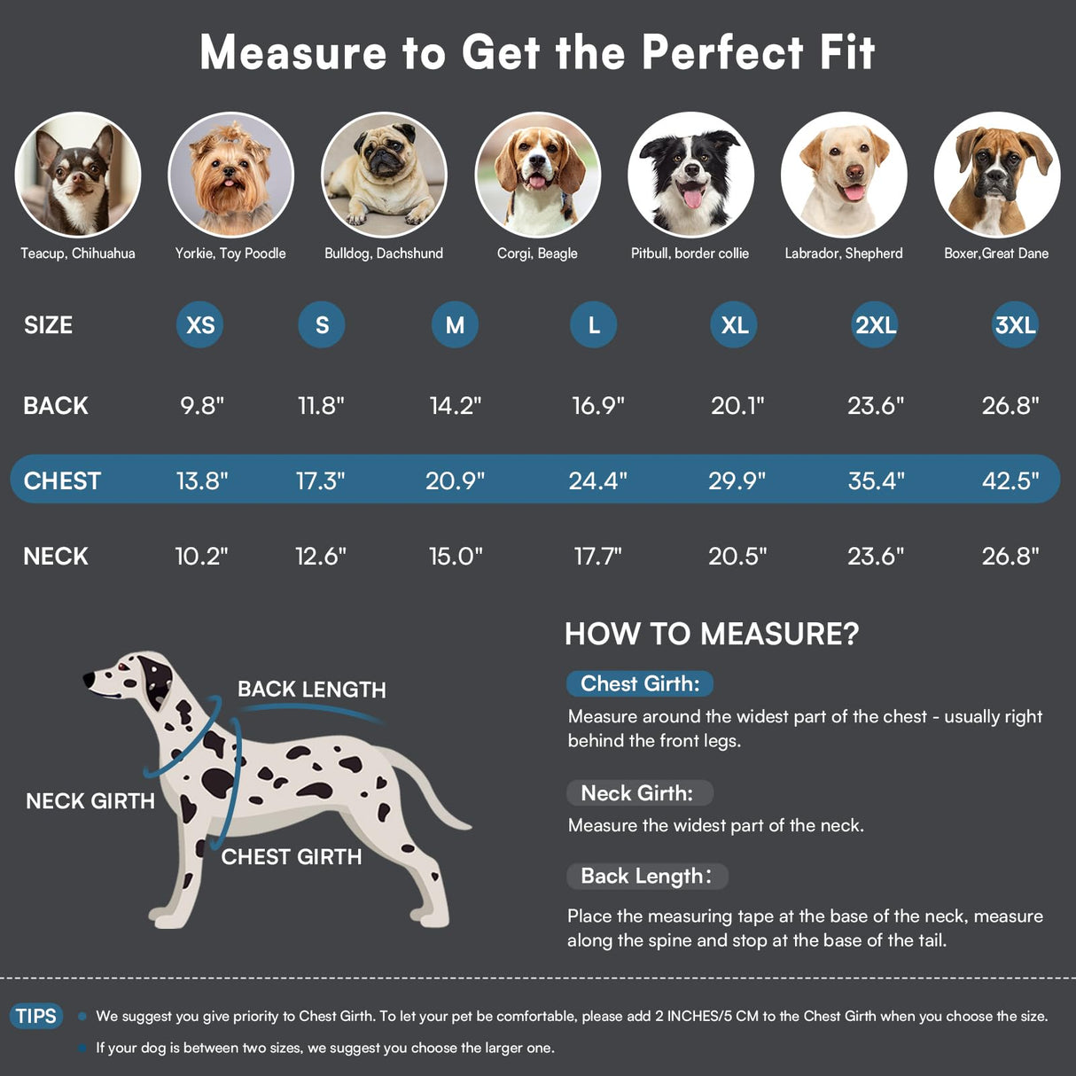 Queenmore Dog Coat,Windproof Dog Coat for Medium Dogs,Dogs Jackets with Harness Built in,Waterproof Doggy Coats with Zipper On Back,Reflective Cold Weather Coats for Dachshund,Boston Terrier,Blue,M