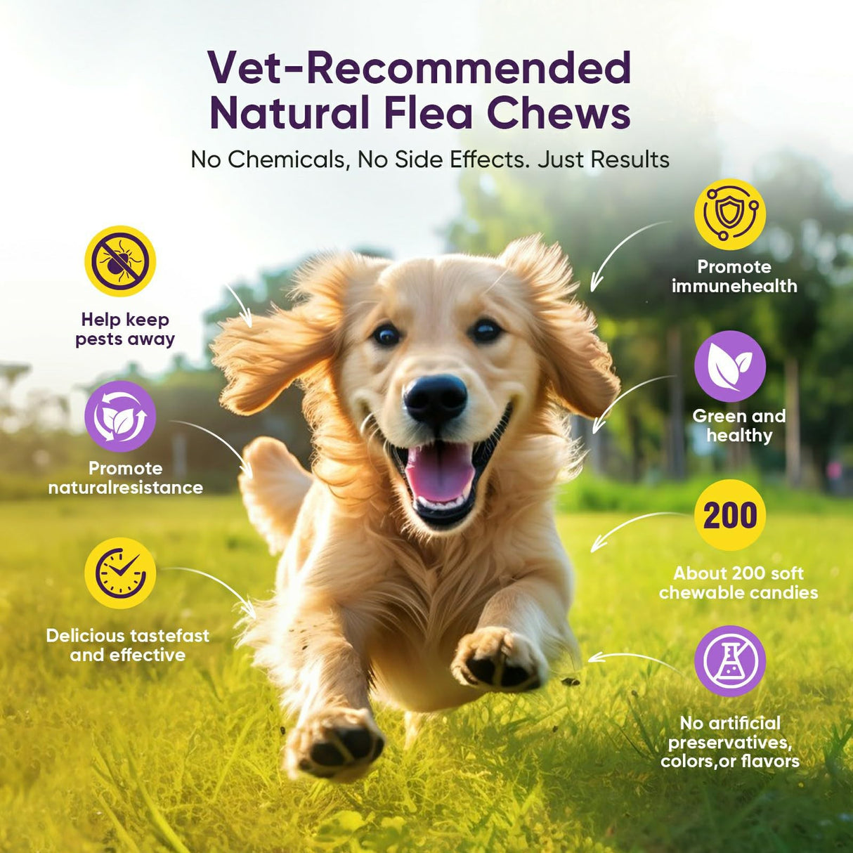 Fleas Ticks Treatment Dog Oral Chewables Support Supplement Breeds and Ages Dogs Chicken Flavor
