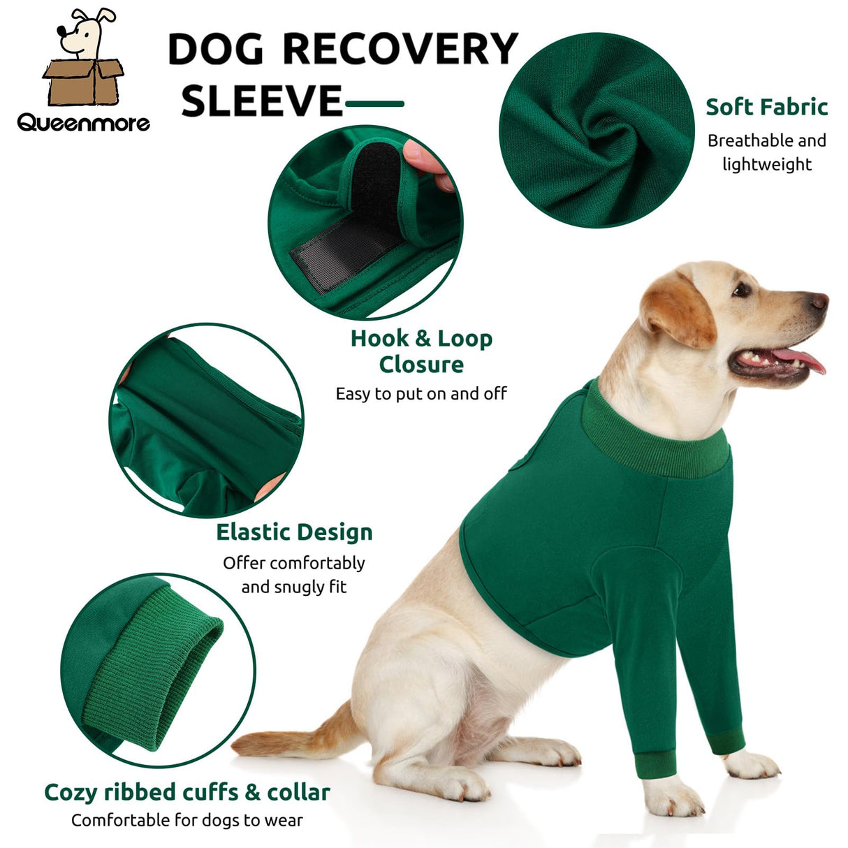 Queenmore Dog Recovery Suit for Front Legs, Adjustable Dog Leg Sleeves to Stop Licking, Breathable Recovery Sleeve for Large Breeds, Wound Care for Pets, Green, L