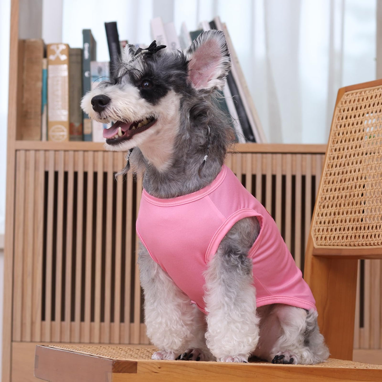 CuteBone Soft Dog Shirt Birthday Lightweight Small Puppy T-Shirts Pet Clothes Breathable Tee Vest Stretchy Outfit Cat Apparel