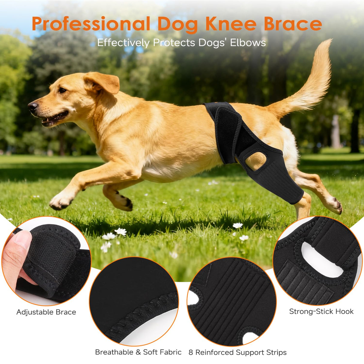 Jorme Dog Knee Brace for Torn ACL, Dog Leg Brace for Post-Surgery Recovery, Arthritis & Luxating Patella,Side Stabilizers, Breathable Neoprene, Adjustable Velcro & Belly Band,Front/Rear Legs (L)