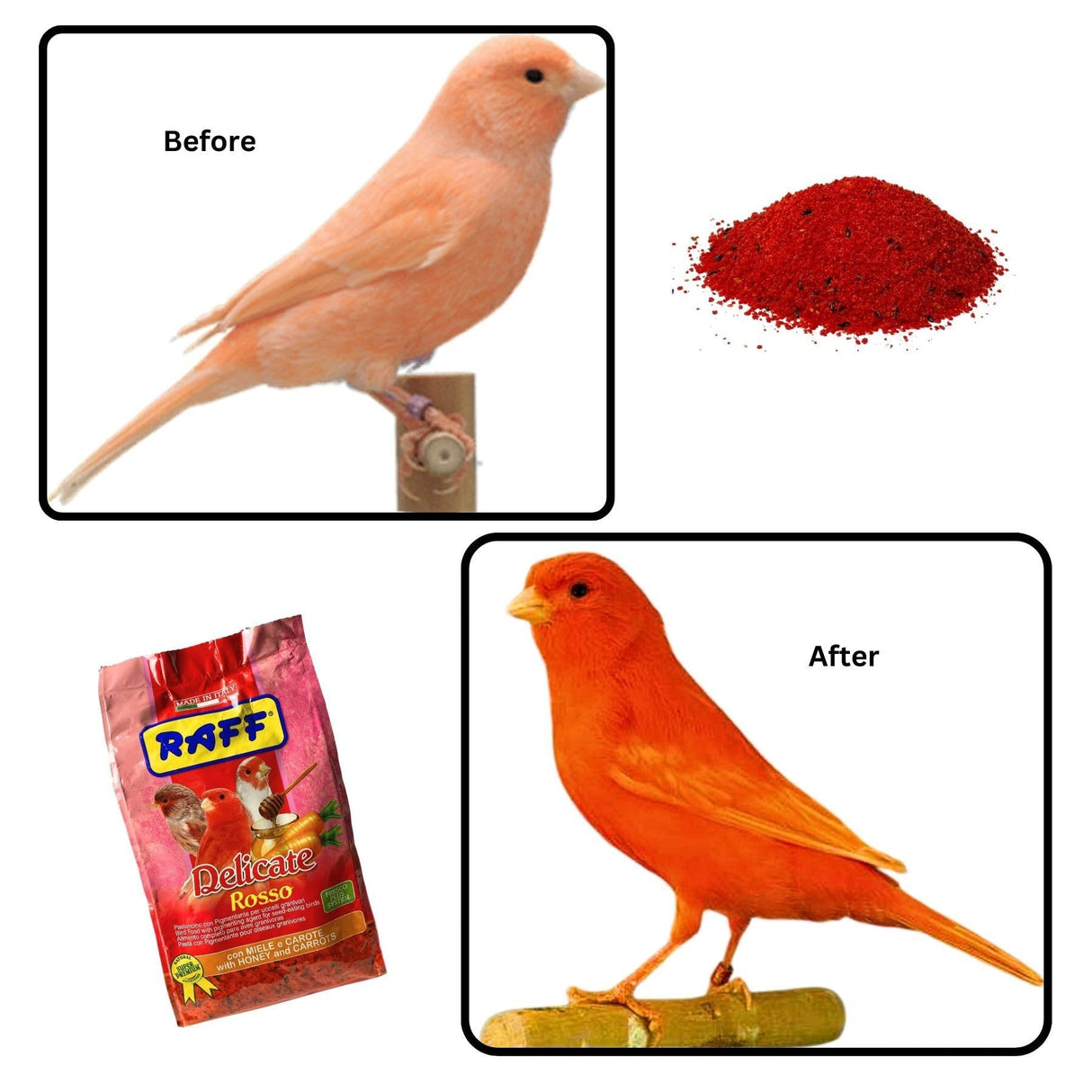 GLOBAL LUXURY MANAGEMENT Raff Delicate Rosso 500g – Red Canary Food Enriched with Honey and Carrots – Specialized Red Factor Formula for Seed-Eating Birds Seeking Vibrant Plumage and Optimal Health