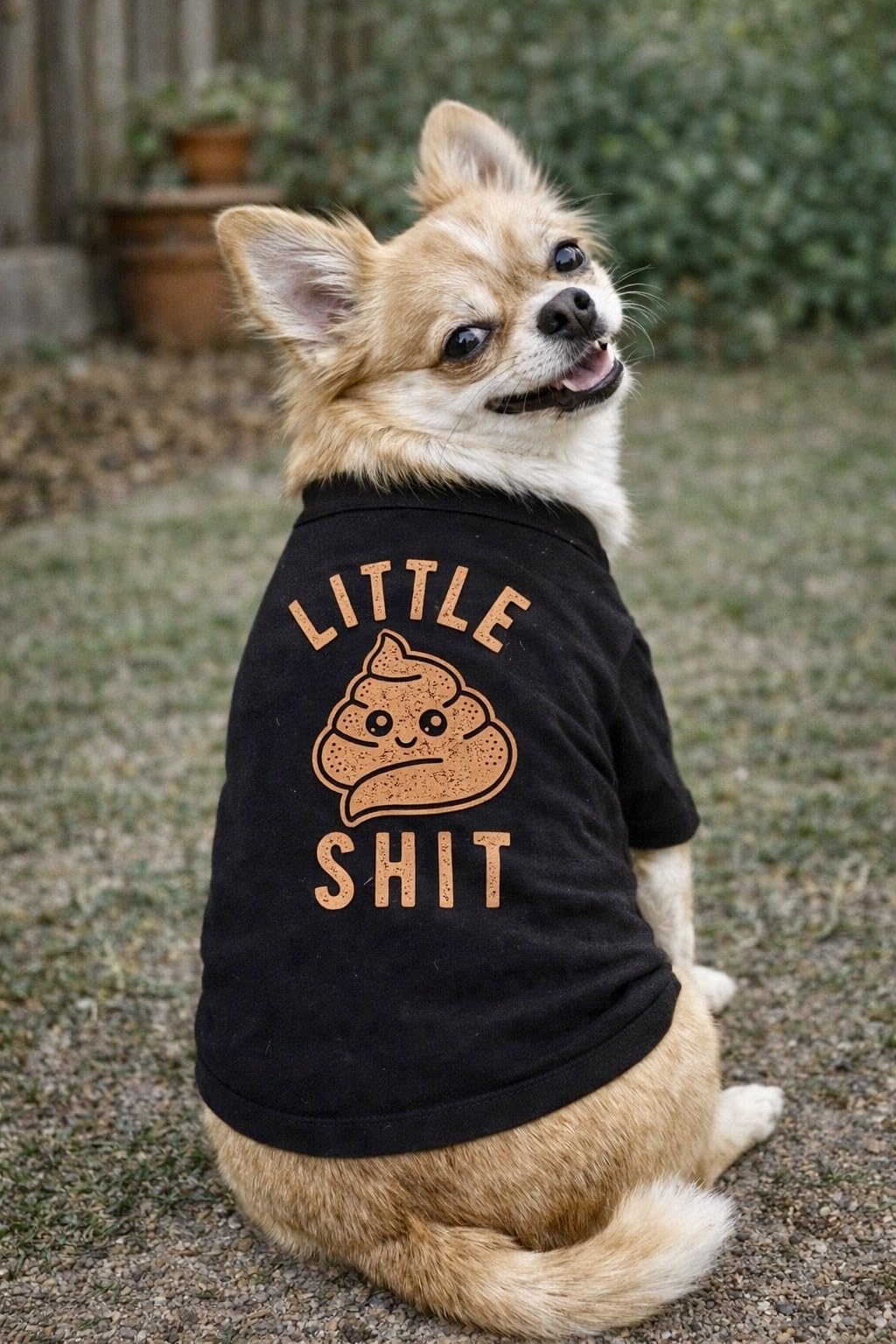 Funny Dog Shirt Gag Outdoor Outfit – Little Poop Cartoon Graphic Tee – Lightweight Cotton Blend for Small to Extra Large Dogs – Sarcastic Pet Gift for Dog Lovers Black, XL