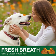 Load image into Gallery viewer, 200 Chew No Poo Chews For Dogs-Coprophagia Stool Eating Deterrent-Stop Eating Poop For Canine- Dogs Poop Eat Deterrent Supplement With Probiotics&Digestive Enzymes Breath Aid Support-Chicken Flavor