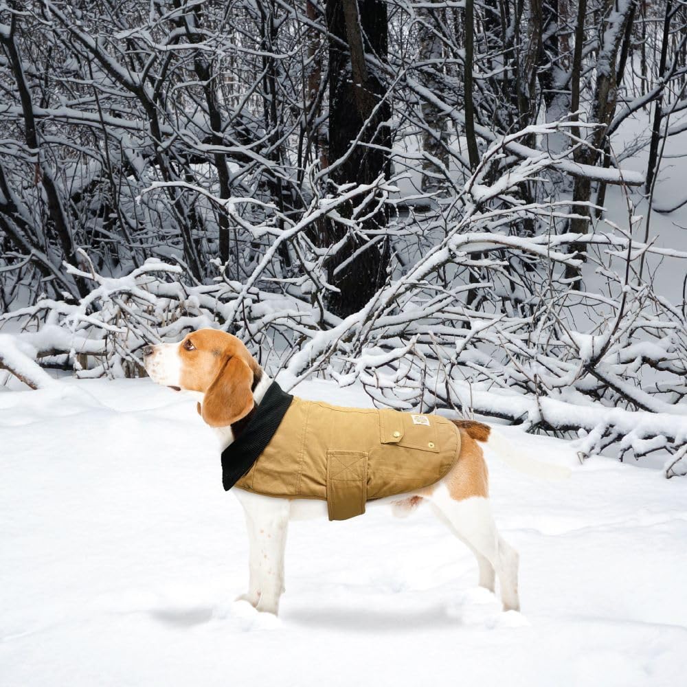 Best Furry Friends Duck Canvas Coat for Dogs, Khaki, Medium