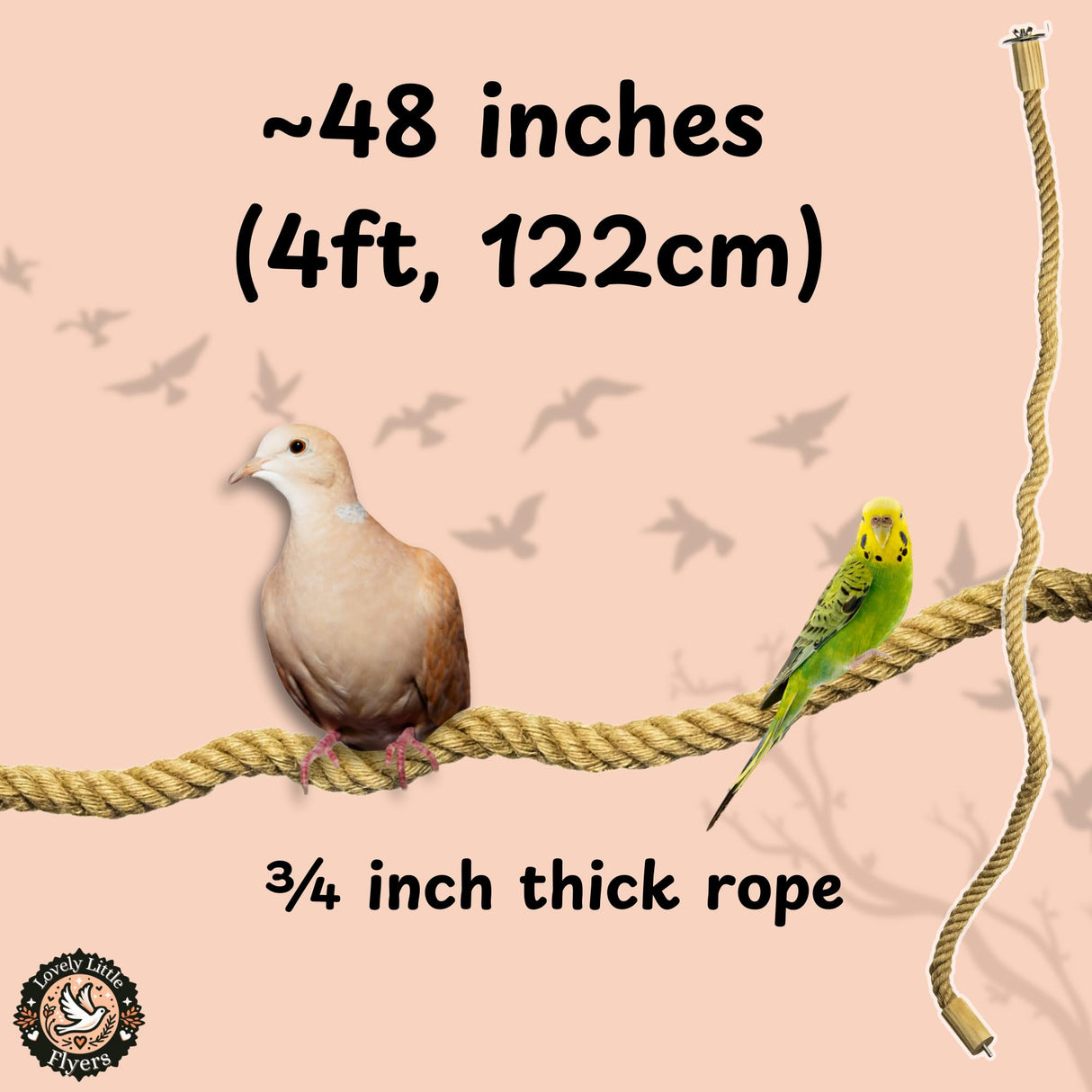 Lovely Little Flyers Bird Rope Perch for Parrots, Bendable Natural Jute Boing with Pine Wood and Stainless Steel Mount, Cotton Alternative, Cage Accessory for Parrots (Brown, 4 feet)