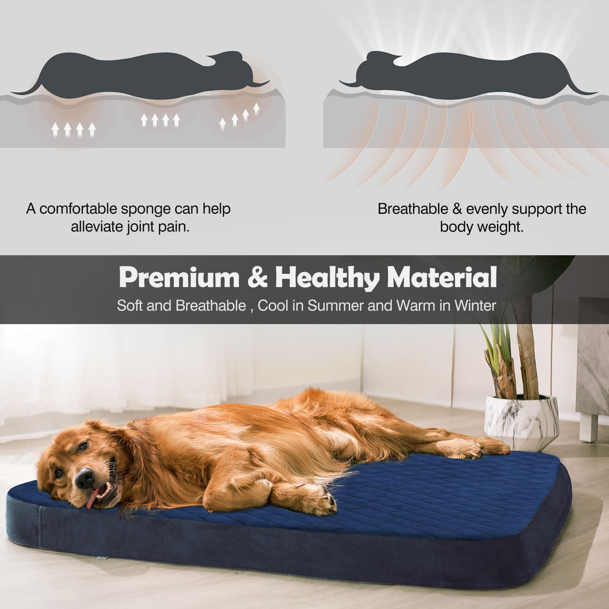 JoicyCo Dog Bed for Medium Dogs, Orthopedic Foam Dog Bed, Joint Relief Pets Sleeping Mattress, Non Slip Bottom with Washable Removable Cover, Dark Blue