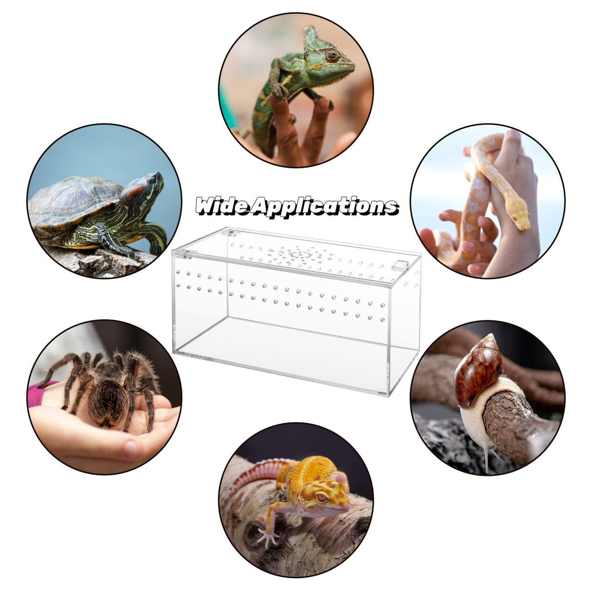 Tlence Acrylic Tarantula Enclosure Terrarium, 8" x 4" x 4" Small Magnetic Reptile Tank, Micro Spider Breeding Habitat Cage, Clear Ventilated Lizard Display Box for Hermit Crab Invertebrates Scorpion
