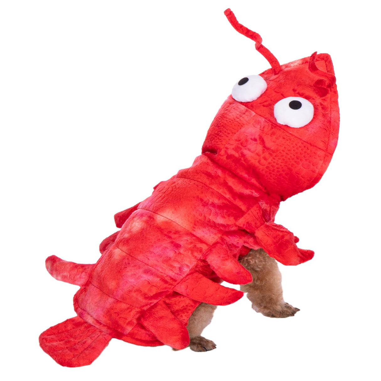 Mogoko Dog Cat Lobster Costume, Pet Halloween Cosplay Dress, Puppy Red Hoodie Warm Outfits Clothes(XL Size)