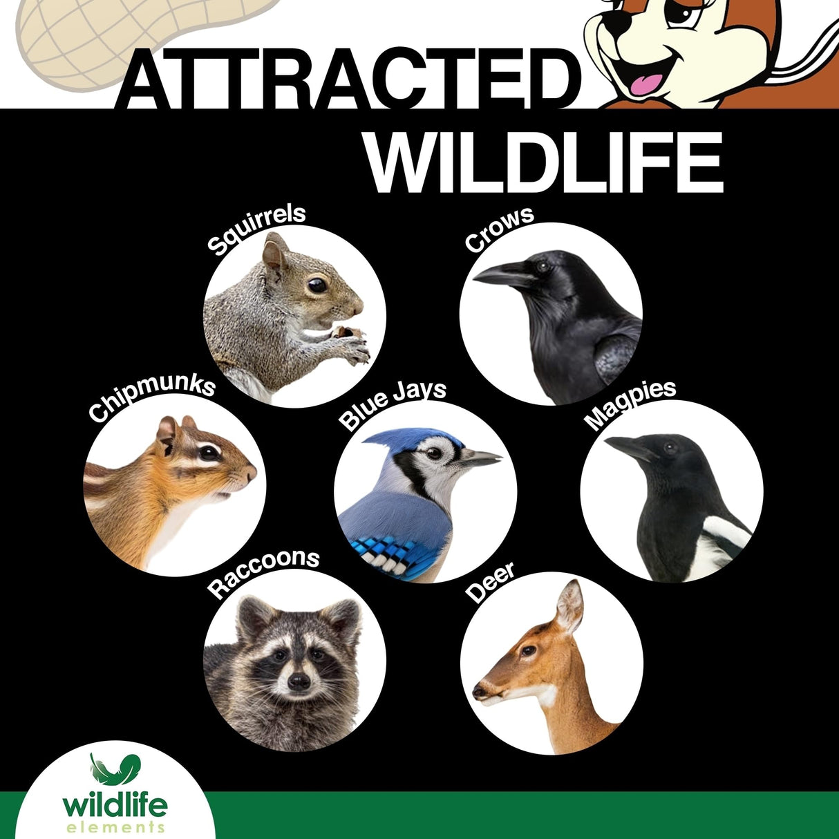 Wildlife Elements Peanut Party Unprocessed, Raw in-Shell Peanuts Wildlife Animal Food, 10lb - Rich in Protein, Healthy Fats, and Essential Nutrients for Birds, Squirrels and Waterfowl