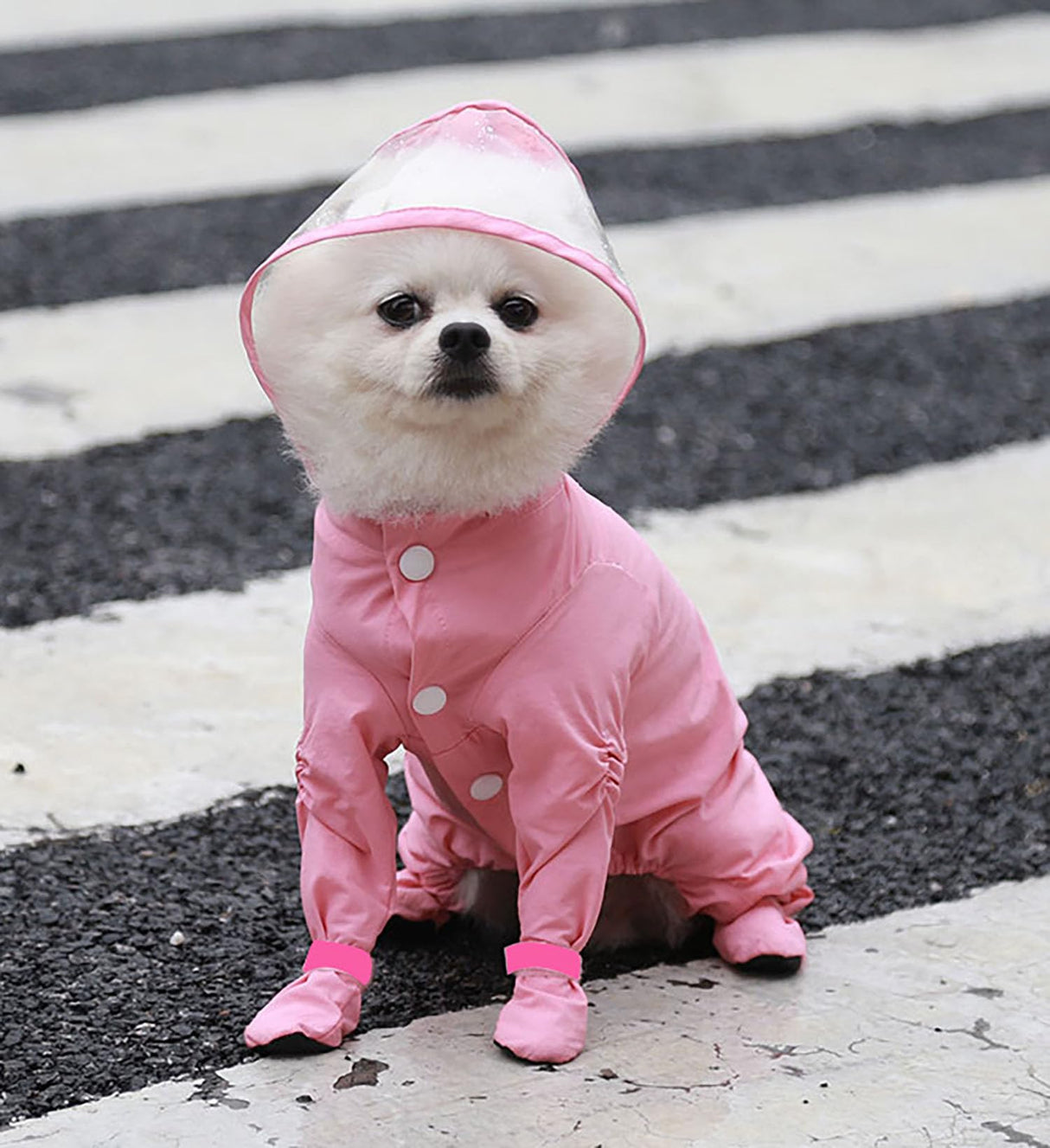 IOICYBF Dog Raincoat with Hood, Waterproof Full-Coverage Reflective Rain Jacket Quick-Drying Rain Poncho and Shoes for Small Medium Large Dogs,Pink,XL