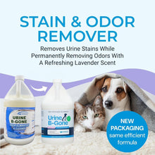 Load image into Gallery viewer, KINZUA ENVIRONMENTAL Urine B-Gone, Professional Enzyme Odor Eliminator & Pet Stain Remover, Human, Cat & Dog Urine Cleaner, Effective on Laundry, Carpets & More, Lavender Scent, 1 Gallon