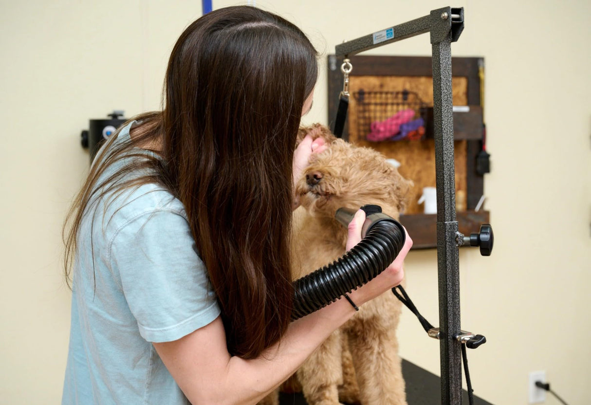METROVAC MB-3V Air Force Master Blaster Pet Grooming Dryer | Variable Speed High Velocity Dog Hair Blower USA