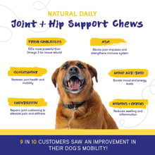Load image into Gallery viewer, PupGrade Joint Support Supplement for Dogs - Natural Glucosamine Chondroitin with MSM - Hip & Joint Pain Relief - Recommended for Hip Dysplasia, Arthritis & Joint Disease - USA Tested - 60 Chews