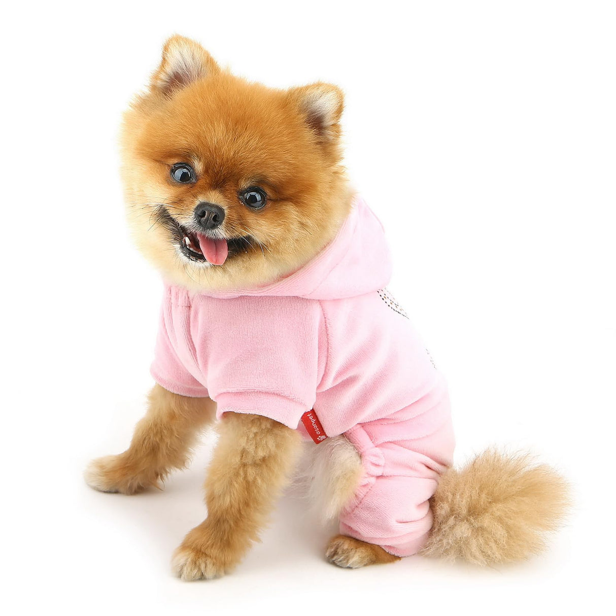 SELMAI Girl Dog Clothes for Small Dogs Cute Doggie Outfits Rhinestone Crown Stretchy Puppy Pajamas Soft Velvet Hoodie 4 Legged Jumpsuit Lightweight Pet Tracksuit Cat Apparel Leash Hole