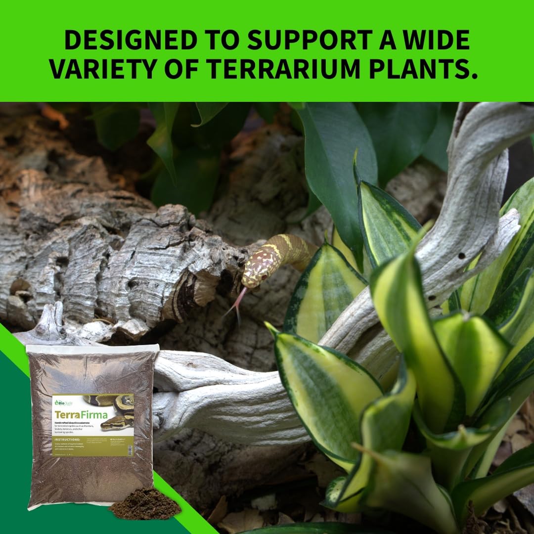 The Bio Dude Terra Firma Reptile Substrate 36 quarts for terrariums and vivariums. Bioactive Habitat Substrate for Ball Pythons, kingsnakes, milksnakes, arachnids and Lizards