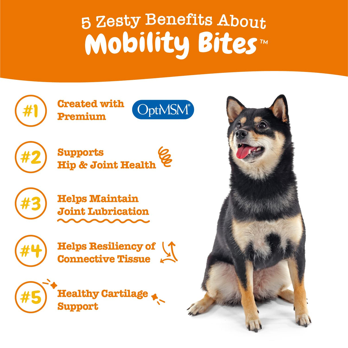 Zesty Paws Mobility Bites for Dogs, Hip and Joint, All Ages, Duck, 90 Soft Chews, 12.7 oz (360 g), Discontinued Listing DO NOT Buy