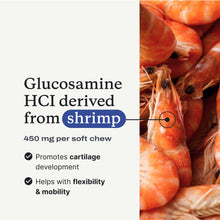 Load image into Gallery viewer, PetLab Co. Joint Care Chews - High Levels of Glucosamine for Dogs, Green Lipped Mussels, and Omega 3 - Dog Hip and Joint Supplement to Actively Support Mobility - Packaging May Vary - Salmon