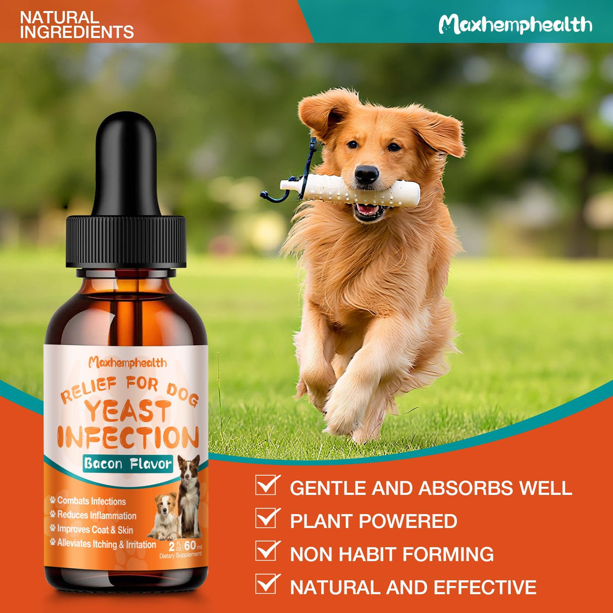 Dog Yeast Infection Treatment : Natural Yeast Infection Drops for Dogs - Anti-Yeast Drops for Itchy Ears, Paws & Skin Allergy Relief, Herbal Supplement for Dog Ear Yeast Infection Treatment, 2 Oz