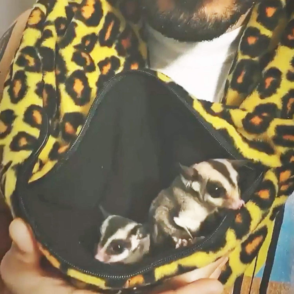 Pet Bonding Scarf - Carry Bonding Pouch - for Chinchillas, Hedgehogs, Rats, Sugar Gliders, Guinea Pigs, Rabbits, Hamsters, Gerbils, Squirrels, Ferrets, Kittens, Parrots, Birds, Reptiles (Black)