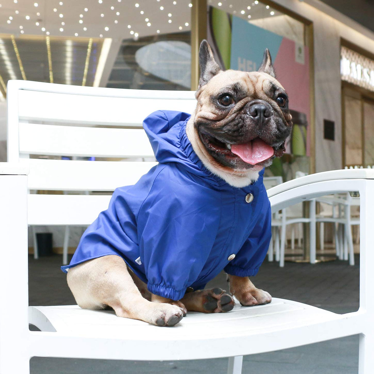 iChoue Dog Cold Weather Coats Water Resistant Raincoats Lightweight Windbreaker Hooded Jackets for French English Bulldog Pitbull Pug Boston Terriers Outdoor Rain Coat - Blue, X-Large