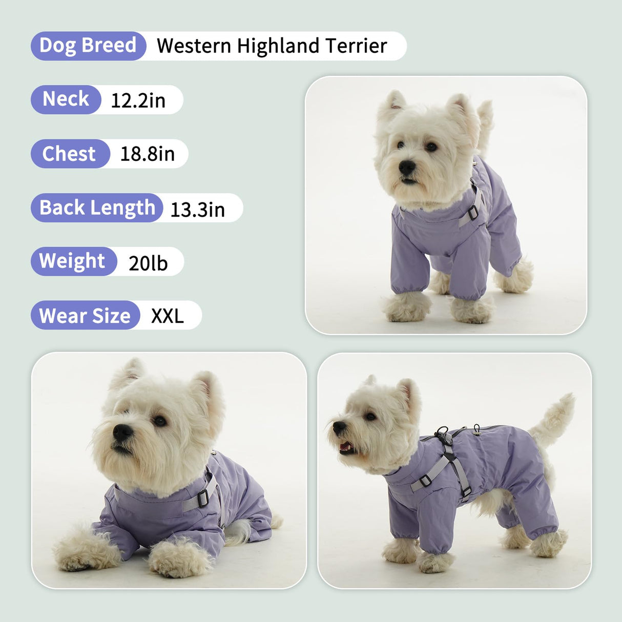 BRKURLEG Dog Raincoat for Small Dogs, Small Dog Rain Jacket with Harness Built in, Waterproof 4 Legs Puppy Raincoats, Puppy Outdoor Jacket with Reflective Strip, Purple, XXL