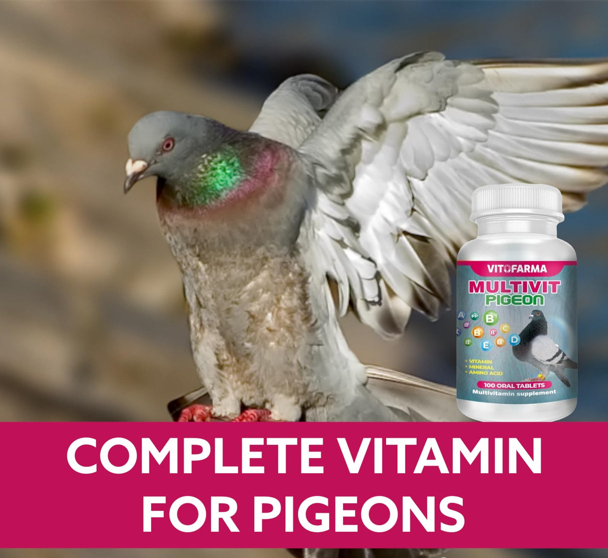 VITOFARMA MULTIVIT Pigeon para palomas 100 Tabs Vitamins Minerals Aminoacids for Racing Pigeons Show Pigeons Rollers Supplement for Birds