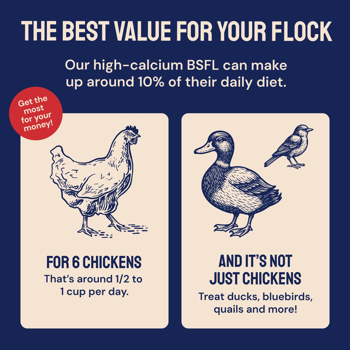 Hatortempt Black Soldier Fly Larvae - Calcium-Rich Chicken Feed Supplement - Treats for Laying Hens - Grubs for Chickens Training Rewards (10lb)