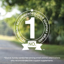 Load image into Gallery viewer, Nutramax Denamarin Liver Health Supplement for Large Dogs - With S-Adenosylmethionine (SAMe) and Silybin, 30Count(Pack of 1)