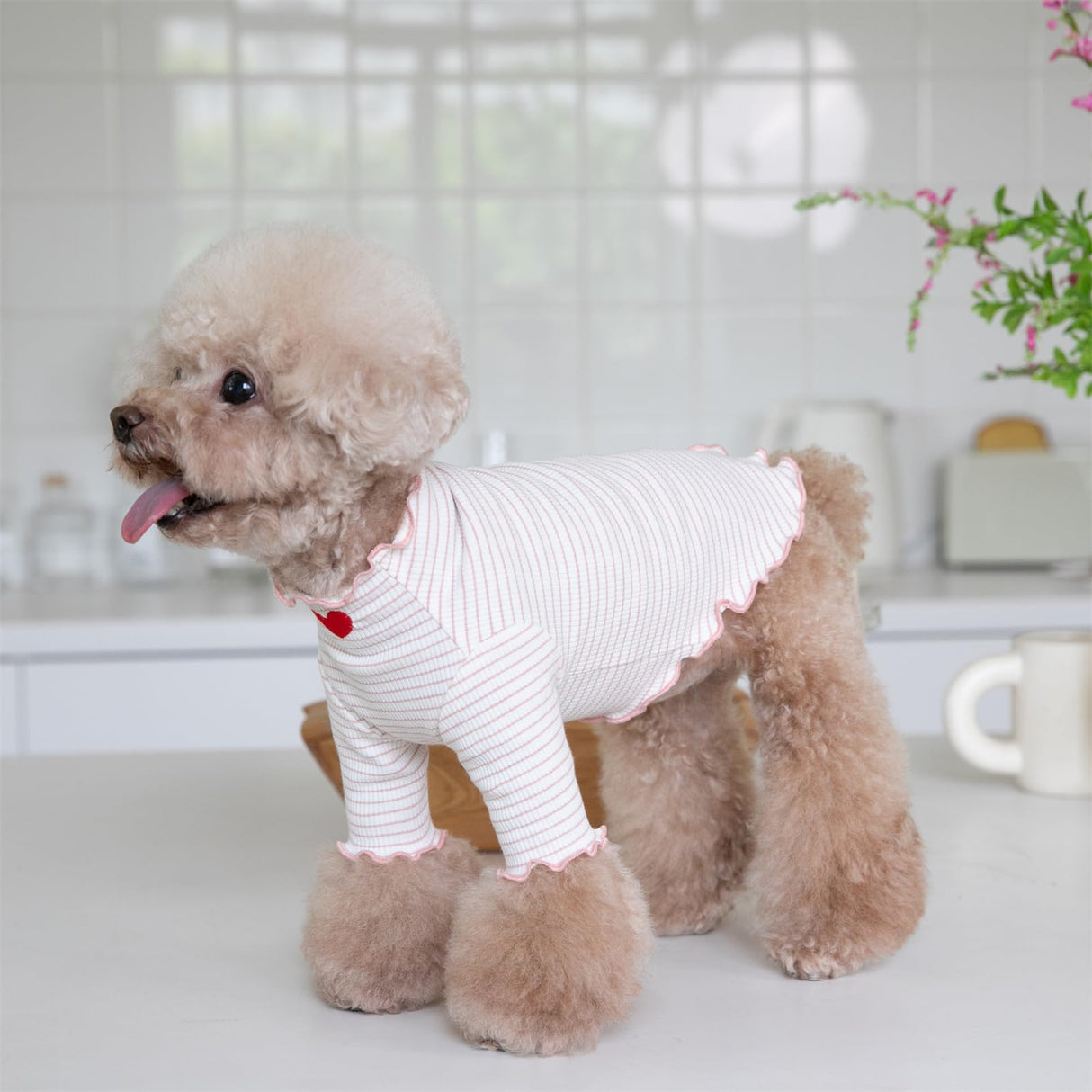 Yaopelky Dog Shirt for Small Medium Dogs Striped T-Shirt with Heart Embroidery Stretchable Ruffle Dog Clothes for Chihuahua Schnauzer Yorkie Shih Tzu (White, Medium)