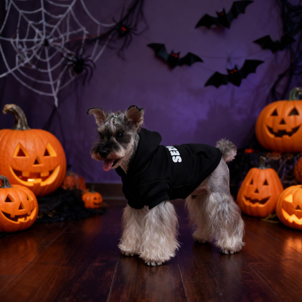 EXPAWLORER Dog Hoodies- Fall Soft and Warm Dog Sweatshirt with Leash Hole, Halloween Dogs Costume Winter Autumn Fleece Pet Clothes with Print for Puppy,Cat, Small Medium Large Dogs (Large, Security)