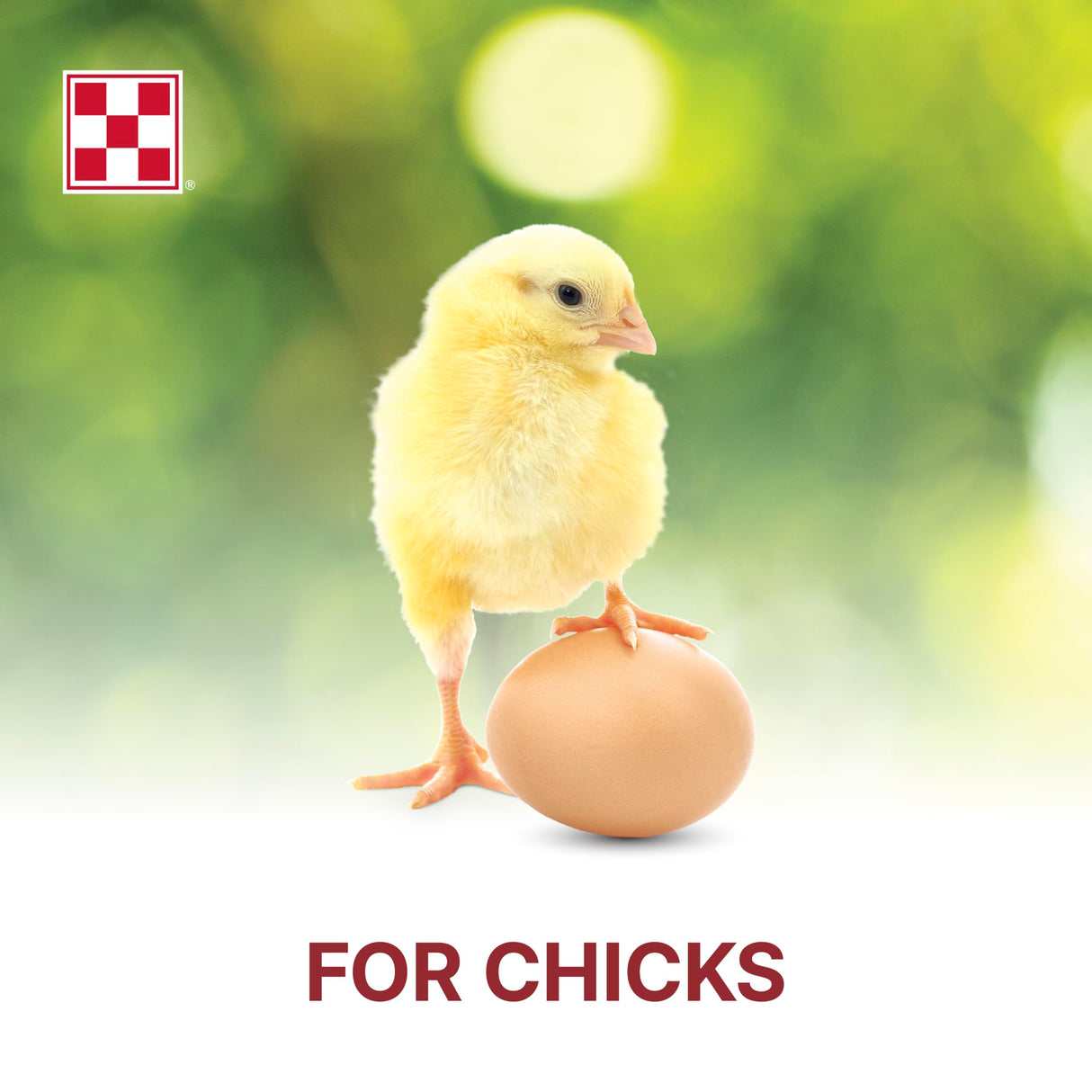 Purina Start & Grow | Nutritionally Complete Medicated Chick Feed Crumbles | 5 Pound (5 lb.) Bag
