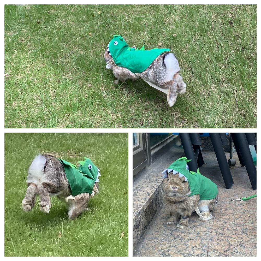Rabbit Clothes Halloween Costume Dinosaur Harness Adjustable Hoodie for Halloween Dress Up Party Cosplay Photo Shoot for Rabbit Chinchilla Guinea Pig Kitten Puppy Small Animal (M (Chest:11"-16"))