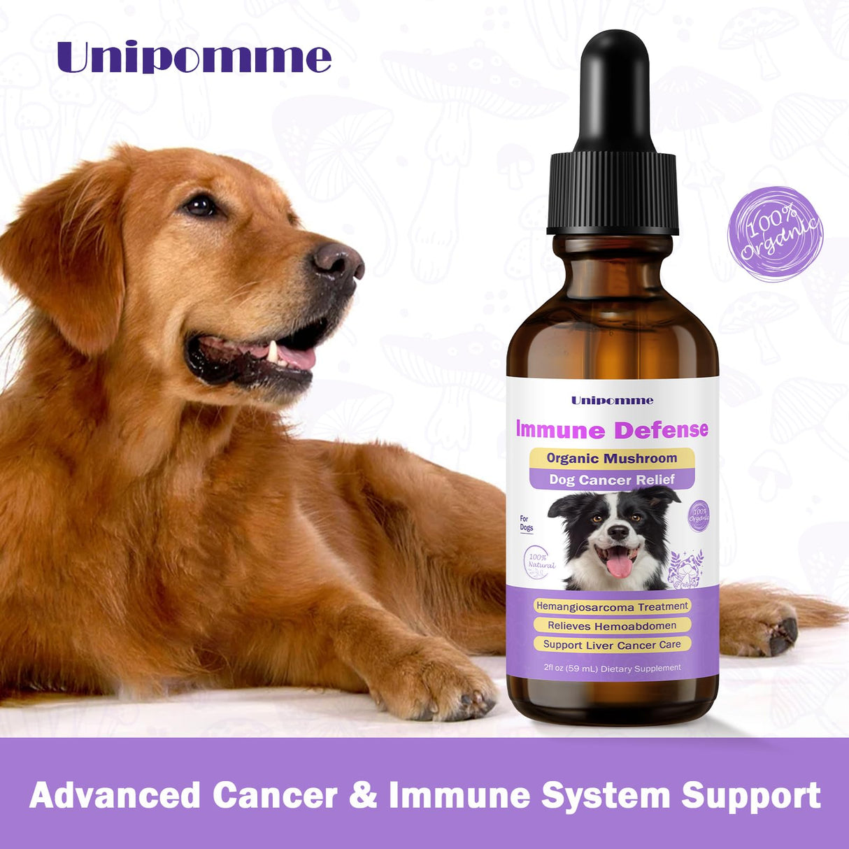 Dog Cancer Supplements - Pet Critical Guard - Defense Immune Support, Cellular Health, Antioxidants with Turkey Tail Mushroom - Natural Herbal Supplement for Well-Being Protection 2 oz (59 ml)