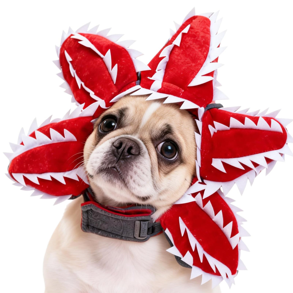 Demogorgon Dog Costume for Dogs Cats – Adjustable Pet Headpiece, Funny Cosplay Photo Prop Fits Small, Medium & Select Large Breeds (Large)