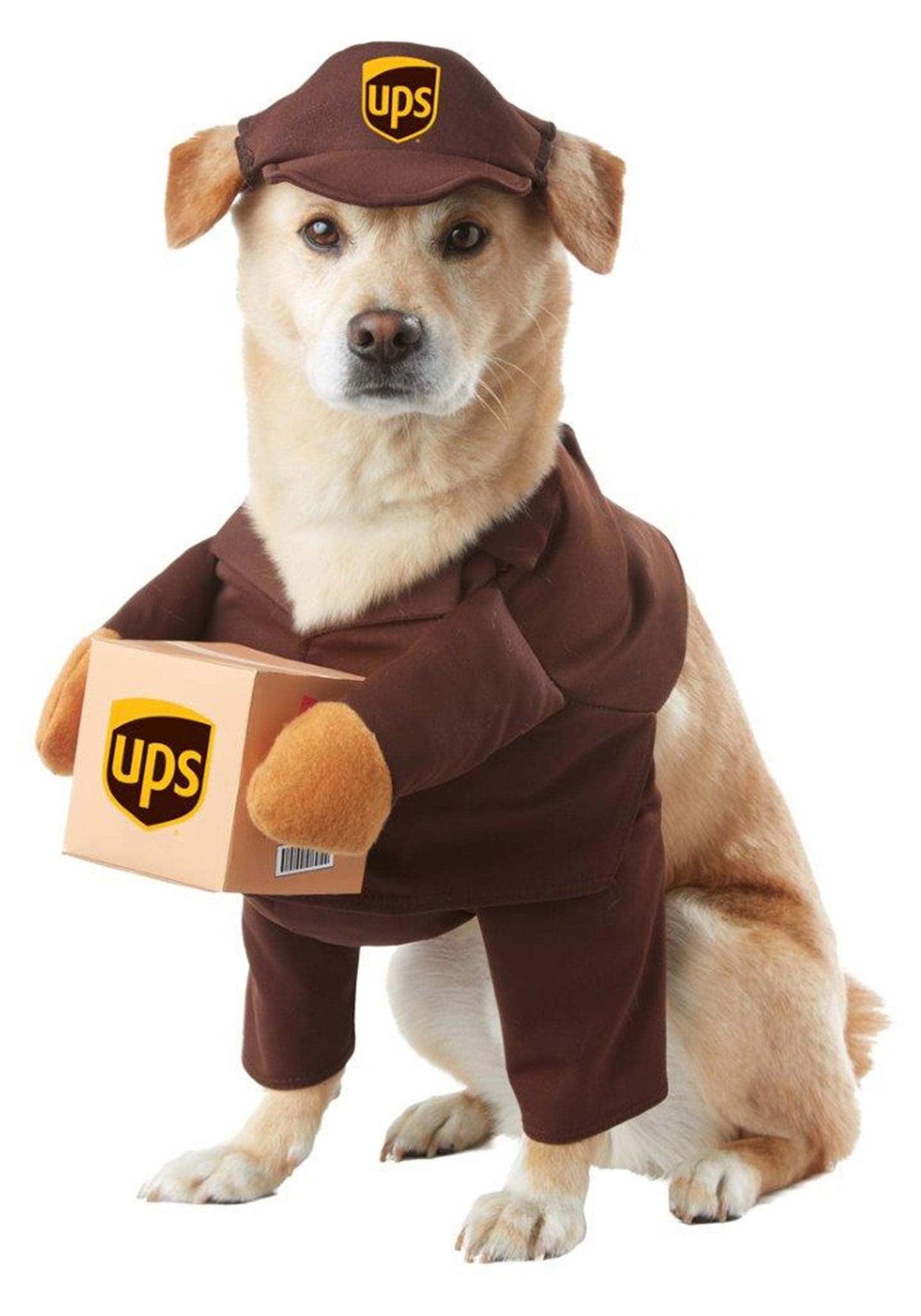 UPS Pal, Dog Costume, Small