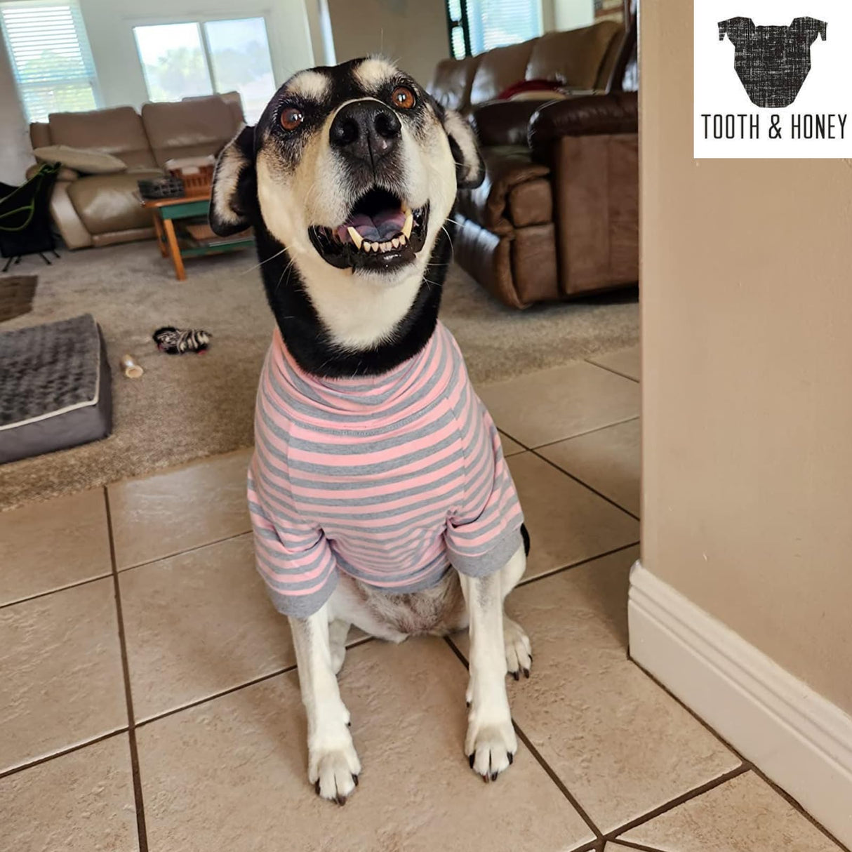 Tooth & Honey Big Dog Stripe Shirt โ Pullover with Full Belly Coverage โ Pink and Grey Pitbull Shirt for Extra Large Dogs