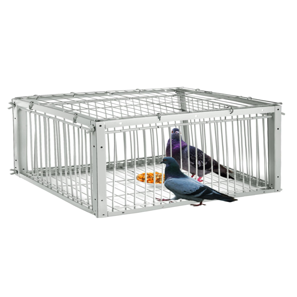 Pigeon Trap with Escape-Proof Design, Pigeon Cage with One-Way Entry, Ideal Pigeon Coop, Chicken and Bird Trap Cage, Portable & Easy Assembly, Unharmful Made of High-Strength Iron and Anti-Rust Paint