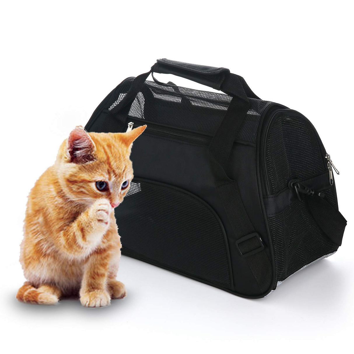 MuchL Pet Carrier Soft-Sided Carriers for Cat Carriers Dog Carrier for Small Medium Cats Dogs Puppies Pet Carrier Airline Approved Cat Dog Pet Travel Carrier (Medium,Black)