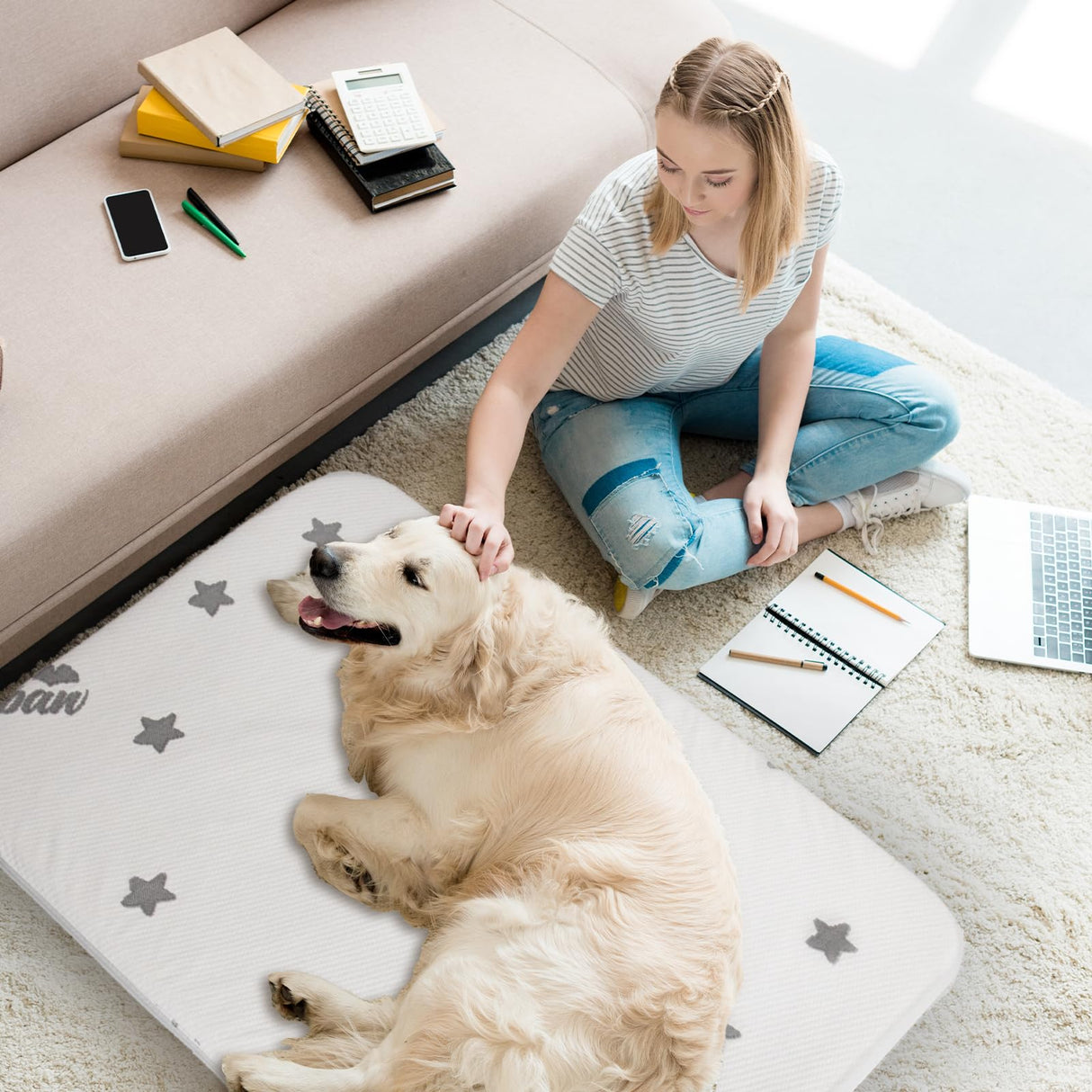 Biloban Waterproof Dog Beds for (Large) Dogs, Washable Mat Pad, Memory Foam Dog Beds & Furniture for Small/Medium Large/XL/XXL Pet with Removable Cover (Light Grey)