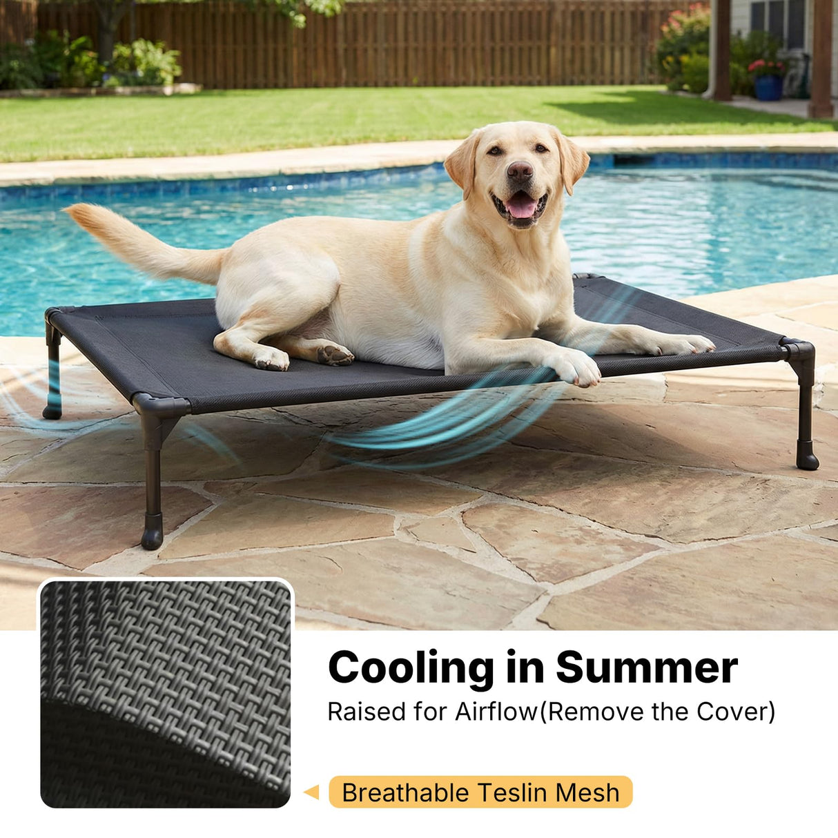 Veehoo Elevated Dog Bed with Waterproof Cushion Mat, Cooling Raised Dog Beds with Padded Top, Washable Outdoor Dog Bed, Orthopedic Pet Cot for Indoor & Outdoor, Medium Dog Bed 32" x 25", Dark Grey