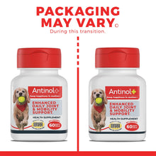 Load image into Gallery viewer, Antinol Plus, Mobility, Hip, and Joint Supplement for Dogs, Green-Lipped Mussels and Krill Oil - Dog Joint Supplement, Better and Faster Than Glucosamine and Chondroitin, 120 Soft Gels